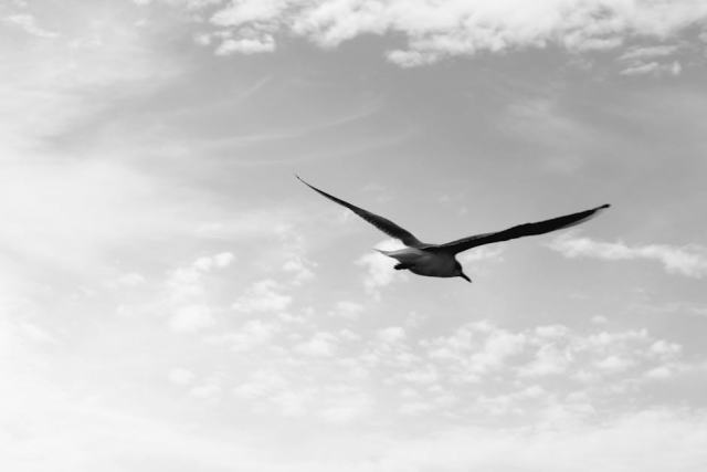 Obtenez plusieurs devis d'isolation thermique et choisissez le meilleur artisan Obtenez plusieurs devis d'isolation thermique et choisissez le meilleur artisan